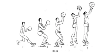 哪里有针对青少年的篮球声誉培养计划_0